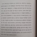 블리스(Bliss) 이미지