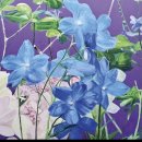 동호커뮤니케이션 이미지