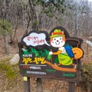 팔공산 둘레길 2구간 이미지