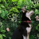 러스틱라운지 이미지