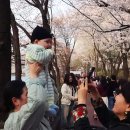 봄날 - 전주시 완산구 서학3길 44 | 봄날