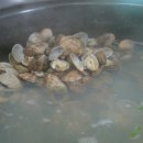 갯벌이야기펜션 이미지