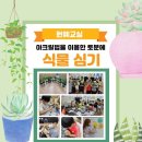 개금꿈나무지역아동센터 이미지