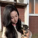 고양이기숙사