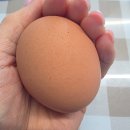 올잇마켓 구월점 | 루원시티과일 밀키트 올잇마켓 가정 가성비 솔직후기