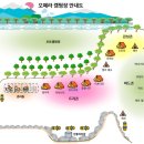 오페라캠핑장 이미지