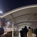 미자식당 | 노량진수산시장 형제상회 예약 초장집 미자식당 현장대기 금요일 방문후기