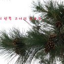 두밀촌 낚시터 네이버블로그