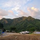 김가네구가네 이미지