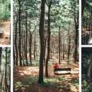 호암늘솔길 화장실 이미지