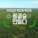 [유한킴벌리] 몽골숲 희망을 그리다 이미지