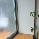 팔즈(pals) 이미지