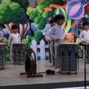 난타교실 B 이미지