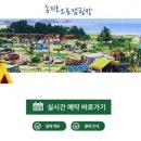 송지호오토캠핑장 이미지