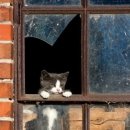 마음의 문 이미지