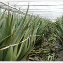 거제면사무소 이미지