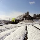 청계리농장 이미지