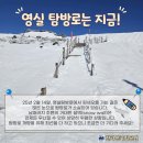 25년2월18일(화) 한라산 영실 윗세오름 어리목 사진1 이미지