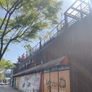 도남농장 | 1. 대구 도남 텃밭 당첨 후기/신청방법/경쟁률/교육 듣기/텃밭 배치도