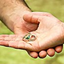 정월대보름행사 이미지