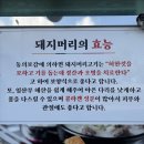 아산만국밥