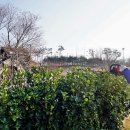 서부직업전문학교