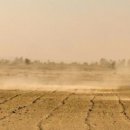 6월17일 세계 사막화와 가뭄방지의 날 이미지