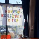 삼계농장 | 간절곶애견놀이터 서생나사리간절곶애견동반식당맛집 간절곶 마실감 울산서생본점 할인정보 솔직후기