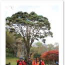 동문장어 이미지