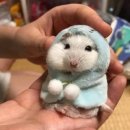 다구어