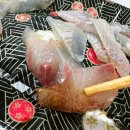 경포대가는길 | 강릉 횟집 삼삼이네 가성비 모둠회 물회2인 포장 경포대 맛집 본점 후기!