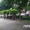 금오초등학교옆공원 이미지