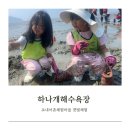 파내올 | 하나개해수욕장 : 아이와 함께한 포내어촌체험마을 갯벌체험 물때, 준비물, 체험 후기
