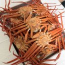 바이더수산