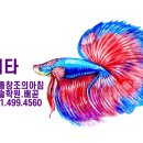 배곧한울초등학교 이미지