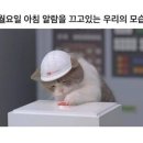 카츠식당 이미지