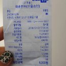 비반트플라워카페 | 신포동 감성 카페 : 카페 맑음 (골목 끝에 존예카페!)