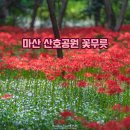 꽃무릇공원 이미지