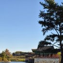 해질녘민박 | 경주 동궁과월지 해질녘 산책 후기 야경 전에도 분위기 좋은 경주 여행코스