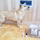 캐니스팜 이미지