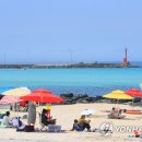 제주 이미지