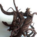 어혈제거. 혈관확장, 청혈---동맥경화, 뇌졸증, 뇌혈관질환,고혈압, 심혈관질환 예방 및 재발방지를 위한 자단삼환(紫丹三丸) 만들기 이미지