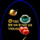 따뜻한 한줄 이미지