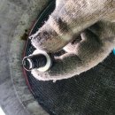 e-편한 카센타 이미지