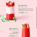 노원 카페 딸기 신메뉴/최애 케이크 후기 &#39;투썸플레이스 노원구청점&#39;
