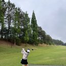 73 | 경북 골프장 셀프 라운딩 후기 골프존카운티 구미cc 노캐디