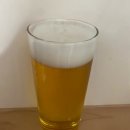 [맥주 리뷰] 맥주 창 클래식 후기. 태국 맥주 창맥주