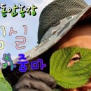 최강농장 이미지
