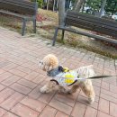 리츠펫 서산호수공원점 이미지