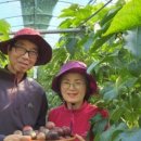 문수정안과의원 이미지